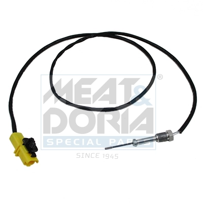 Sensor, exhaust gas temperature